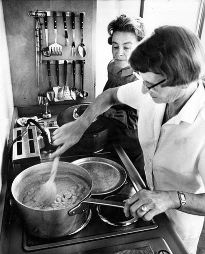 Teen-age beauty farm kitchen