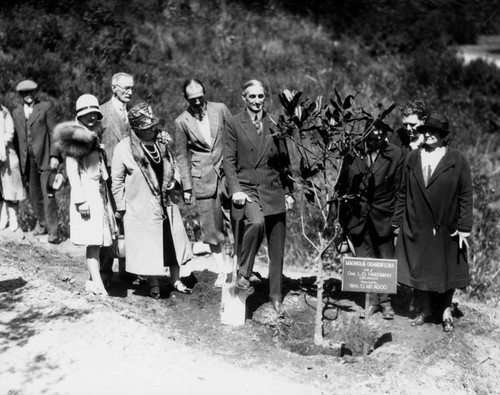 Senator McAdoo planting tree