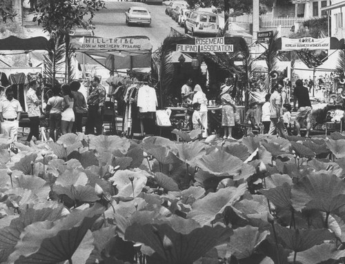 Lotus Day in Echo Park