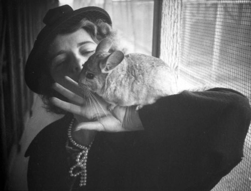 Ethel plays with a chinchilla at the Chapman farm