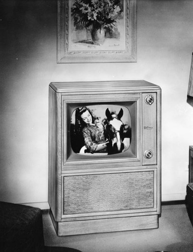 Hoffman television set