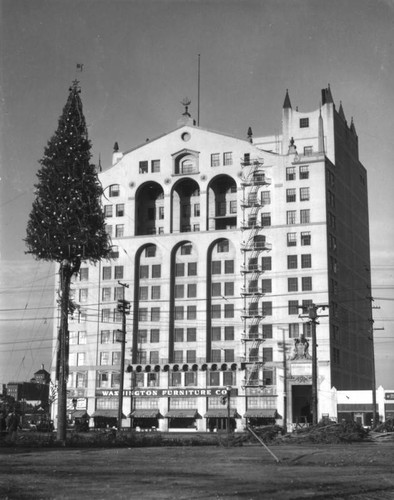 Christmas trees high up in Los Angeles, view 1