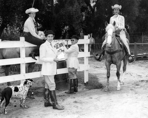 Horse show aides