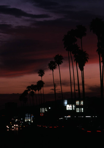 Sunset Boulevard during sunset