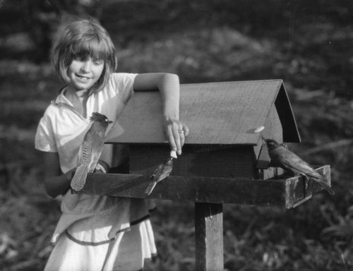 Child looking at bird feeder