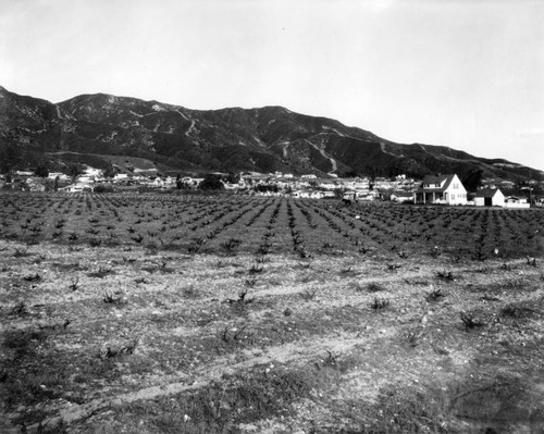 View of field and homes in Burbank