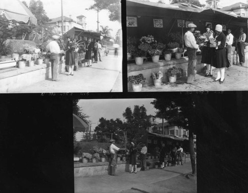 Customers at flower stand, views 1-3