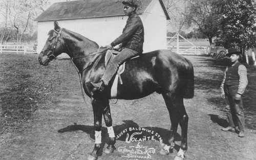 "Lucky" Baldwin's Stable