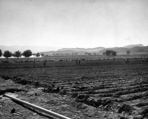 Wayside Honor Ranch ranks high as unique prison farm