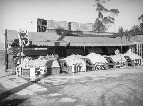 Riverside oranges on Vermont Avenue