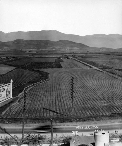 East L.A. panorama, panel 2