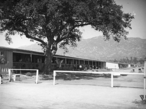 Stables, Santa Anita Racetrack