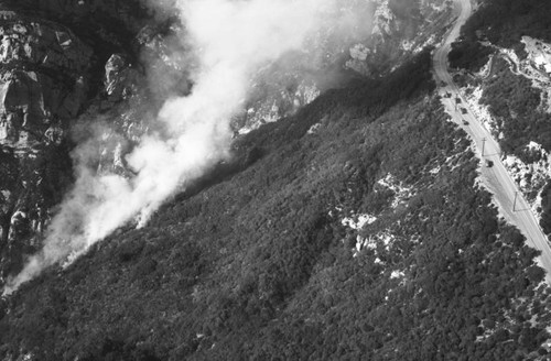 Malibu fire remnant, looking west