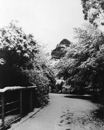 Snow in the zoo in Los Angeles