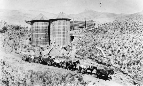 Horse team with wagons