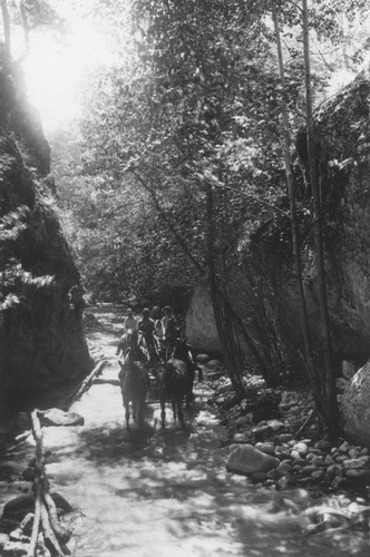 Wagon in San Gabriel Mountains