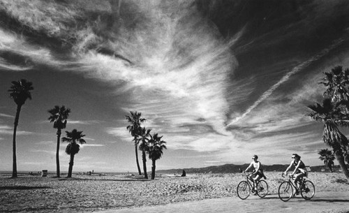 Bike ride in Venice