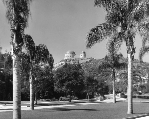 Griffith Observatory from below