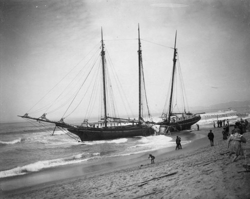 The Mabel Grey on Moonstone Beach