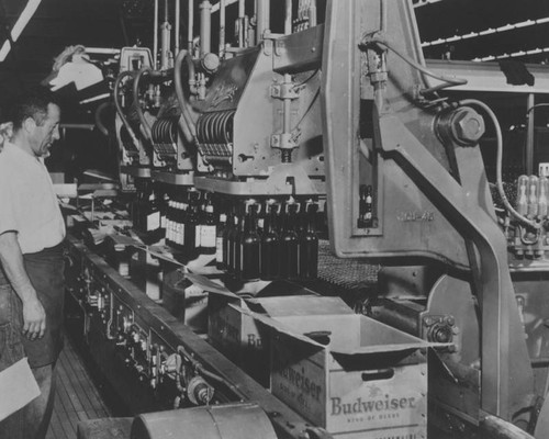 Budweiser Beer bottling