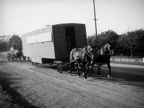 Bean straw workers