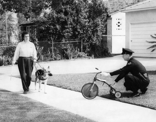 Guide dog training