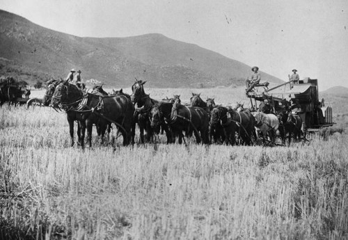 Horses and farm machine