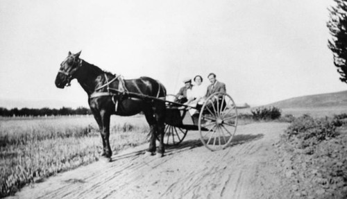 Three people in a horse and buggy