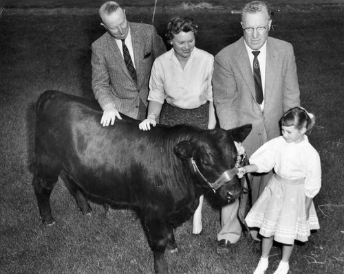 Pierce College gets prize calf