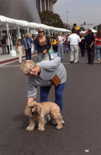 Sue Laris, Grand Avenue Festival