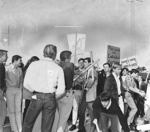 Long-hair pickets