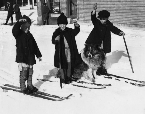 Three boys and a Collie