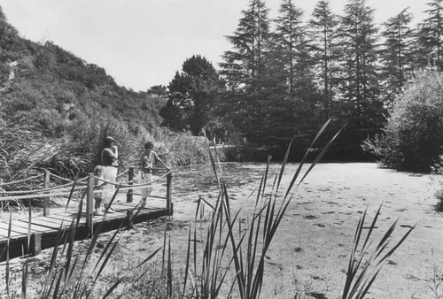 Lake in Franklin Canyon Park