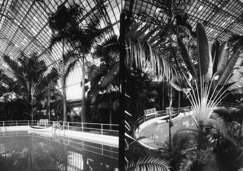 Lincoln Park conservatory, views 1 & 2