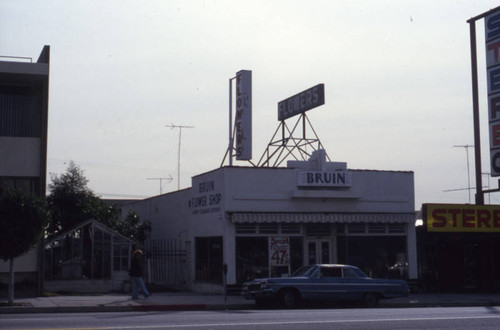 Businesses, West Los Angeles