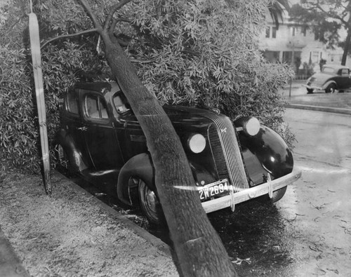 Car wrecked by storm