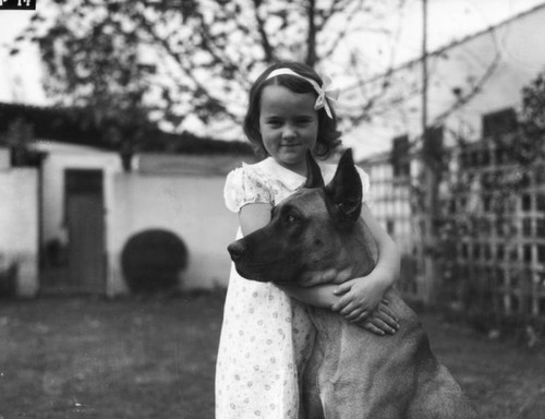 Little girl with her great dane, view 2