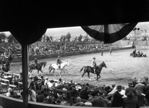 Dressage at a horse show