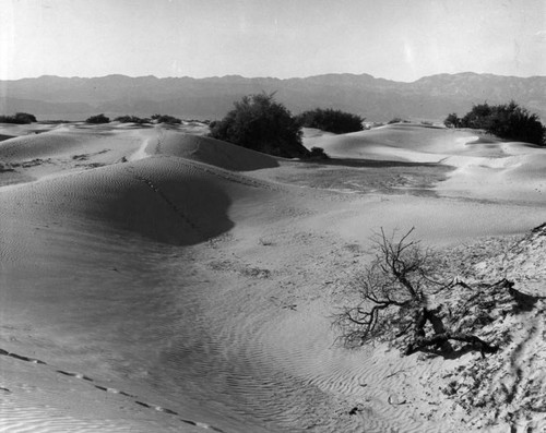 Death Valley trip offers color