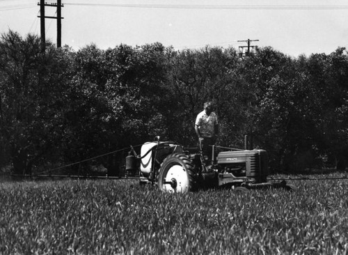 Tractor in field