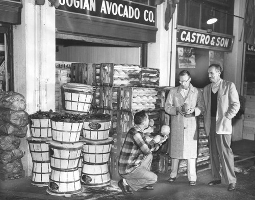 Selling cantaloupes at produce market