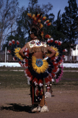 Native American Annual Pow-Wow, Sunland