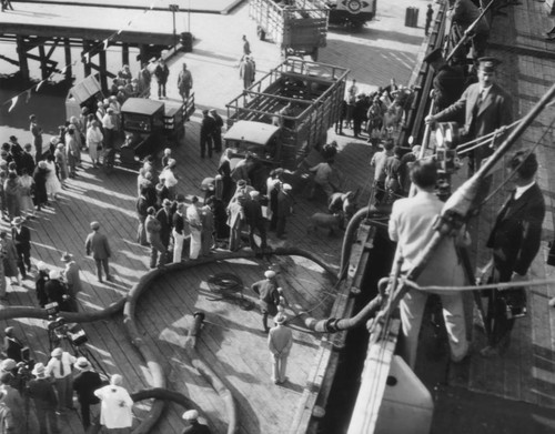 Loading sheep onto the C.A. Larsen