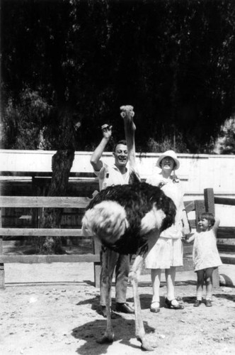 Family at an ostrich farm