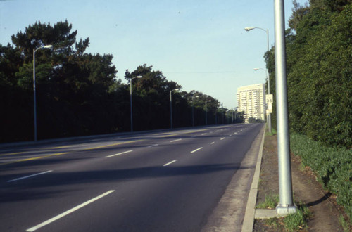 Wilshire Boulevard, Westwood