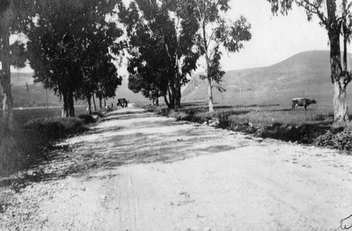 View of Coyote Pass, Pasadena