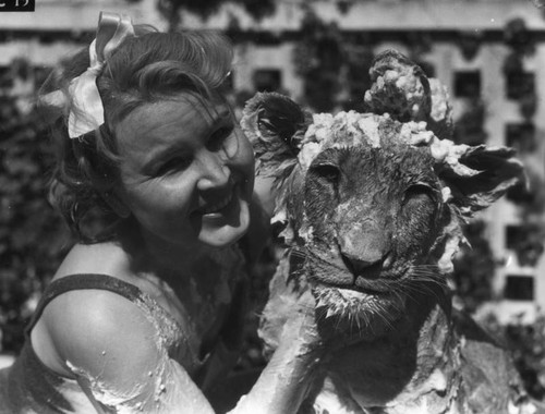 Woman washing lion