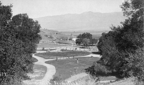 Glendale ostrich park