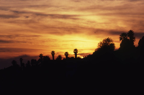 Pacific Palisades at sunset