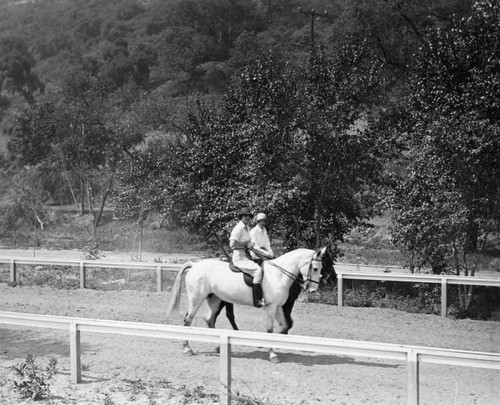 Riders on Griffith Park bridal path